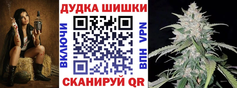 Купить закладку COCAIN Alpha-PVP Псилоцибиновые грибы Марихуана Меф мяу мяу ГАШ Инза