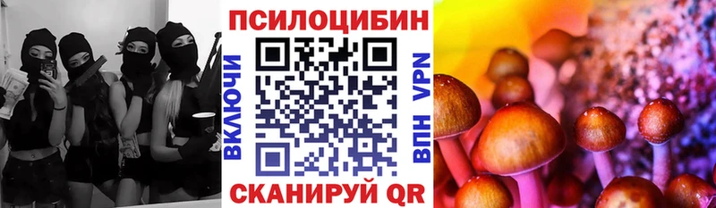 Купить  Инза  Псилоцибиновые грибы ЛСД 